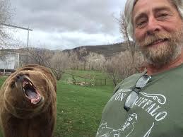 We did not find results for: Guy On A Buffalo Saddles Up For Viral Video Fame On Kananaskis Ranch Cbc News