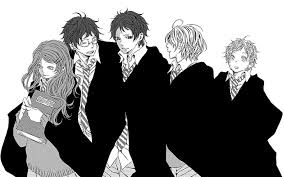 Show your support for s.p.e.w. Hd Wallpaper Harry Potter Lily Evans James Potter Sirius Black Remus Lupin Wallpaper Flare