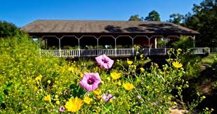 Maybe you would like to learn more about one of these? 8 Best Things To Do In Conroe Texas