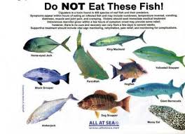 Pin By Caroz On To Travel To Fish Fish You Can Eat Types Of Fish