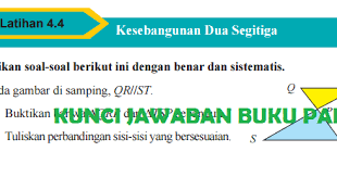 Rangkuman kunci jawaban tema 5 kelas 2 halaman 100 101 103 105 106 subtema 2 pembelajaran 5 ini, dikutip dari buku guru dan buku siswa serta dari beberapa sumber lainnya. Lengkap Kunci Jawaban Buku Paket Matematika Kelas 9 Latihan 4 4 Kesebangunan Dua Segitiga Halaman 254 255 256 257 258 259 Kunci Jawaban Buku Paket Terbaru Lengkap Bukupaket