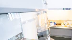 Check spelling or type a new query. Biological Safety Cabinet Certification Eoc1