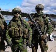 ▷ Guía completa sobre los tipos de camuflaje militar y sus usos
