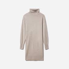 The Cashmere Turtleneck Dress Everlane
