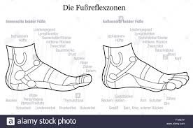 Foot Reflexology Chart Inside And Outside View Of The Feet