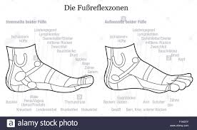 foot reflexology chart inside and outside view of the feet