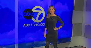 A dynamic team of anchors and reporters propel abc7 to no. Feder New Abc 7 Reporter Alexis Mcadams Hails From Palatine