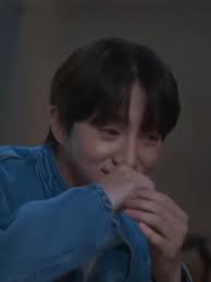 Hitv Twinkling Watermelon