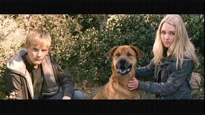 216,928 likes · 59 talking about this. 27 Best Race To Witch Mountain Ideas Race To Witch Mountain Witch Annasophia Robb