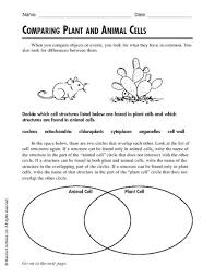 Comparing Plant And Animal Cells Worksheet Lesson Planet