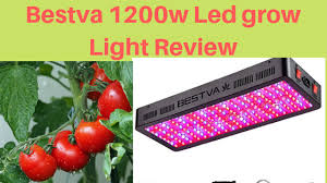 2000w led grow light review. Bestva 2000w Led Grow Light Review For Indoor Gardener Led Grow Lights Grow Lights Led Grow