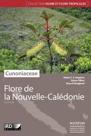 Image result for Cunoniaceae