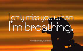 Pin On Miss You Quotes