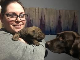 Jett looking pretty after her 1st puppy pamper