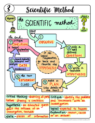 Free Scientific Method Doodle Sheet Easy To Use Notes Ppt Included Science Doodl In 2020 Scientific Method Graphic Organizer Biology Lessons Scientific Method