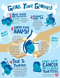 Other suspicious symptoms include swelling of the testicle, feeling of weight in it or. Pin On Nursing