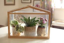 Negli store, come anche on line mette. Diy Gold Mini Greenhouse Ikea Hack Piccola Serra Piccoli Idee