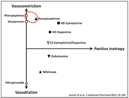 Inotropes Vasopressors And Other Vasoactive Agents Litfl Ccc