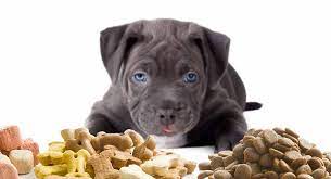 Deboned chicken is the number one ingredient in merrick puppy food, making it another good value brand that comes in third as the best dog food for pitbull puppies. How Much To Feed A Pitbull Puppy