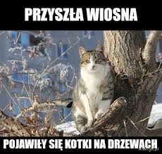 Kiedy zmieniamy czas zimowy na letni? 74aypcd76tq48m