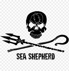 Roger federer logo vector (.ai) free download. Revious Entry Jolly Roger Sea Shepherd Logo Png Image With Transparent Background Toppng