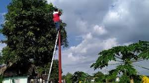 Pasang indihome melalui myindihome ada dua cara daftar, yakni secara offline dan online.1. Pasang Tiang Telkom Pelanggan Baru Speedy Indihome Youtube