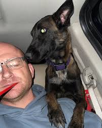 I hope that everyones pup is as unbothered at Obi here during some home  visits! . . #brunswickga #primalcaninega #saintsimonsisland #jekyllisland  #dogtraining #puppyclasses #primalcanine #PuppySchool #dogtrainer