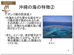 Image result for 沖縄の海