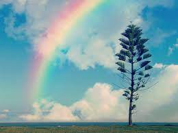 教えたくなる！】虹が現れるために必要な3つの秘密、知っていますか？ | いろは出版