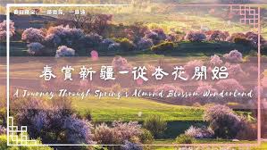 大美新疆｜ 初春杏花盛宴：帕米尔高原、吐鲁番、伊犁赏花攻略！（Xinjiang Spring Almond Blossom Guide: Best  Blooming Spots! ） - YouTube