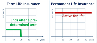 No matter which type of life insurance you choose, you'll need to figure out how large a policy to. An Outline Of The Various Types Of Life Insurance Policies Financial Independence Hub