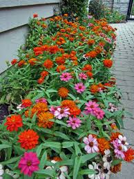 Pin On Outdoor Living Gardening