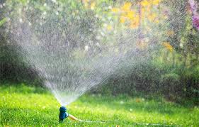 Comment installer un arrosage automatique goutte à goutte. Choisir Son Systeme D Arrosage De Vacances Pour Le Jardin Gamm Vert