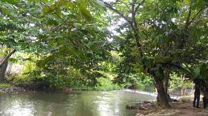 Choose from more than 61 properties, ideal house rentals for families. Second Time Visiting Review Of Riverside Janda Baik Janda Baik Malaysia Tripadvisor