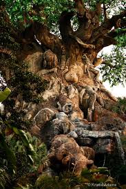 Animal Kingdom Tree Of Life Animal Kingdom Disney Disney World Florida Disney World Parks