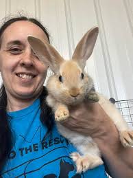 Have you ever seen such an adorable...