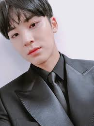 Mingyu (seventeen) facts and profile, mingyu's ideal type. K Pop Photos Tagged With Seventeen Mingyu On Favim Com