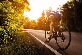 Hire a bike and ride through themed gardens like the palm garden, sun garden and heliconia trail. Spacetraveller Activity Private Half Day National