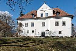 Image result for Fuirena welwitschii