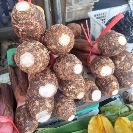 Keladi / Talas