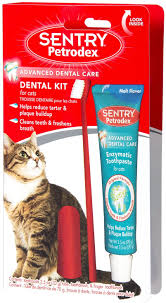 How much does dog teeth cleaning cost? Petrodex Dental Kit For Cats Malt Flavor Toothpaste 2 5 Oz Amazon Co Uk Pet Supplies