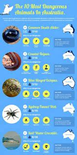 89 Dangerous Animals Ideas Dangerous Animals Animals Dangerous