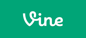 Why Did Vine Shut Down? Lessons To Be Learned