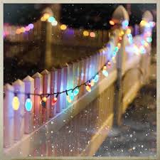 Christmas Lights On The Fence Mary Wald S Place Backyard Lights Outdoor Christmas Christmas Lights Christmas Love