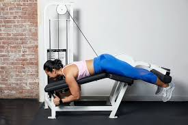 Muscles controlling movement at the ankle are found in the leg and can be split into anterior, posterior, and lateral compartments. How To Do Leg Curls Techniques Benefits Variations