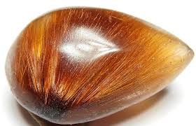 Image result for Rutidea