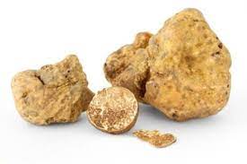Maybe you would like to learn more about one of these? Vendita Tartufo Bianco Pavia Milano New Trading Company
