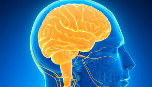 Brain on fire 2016 watch online in hd on 123movies. Covid 19 S Effect On The Nervous System