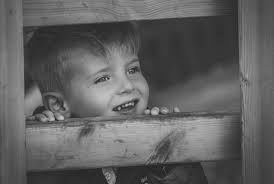 David Bayliss Photography...