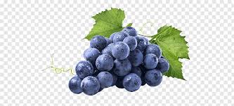Pin By Effadifea Uwais On E Grapes Purple Grapes Red Grapes
